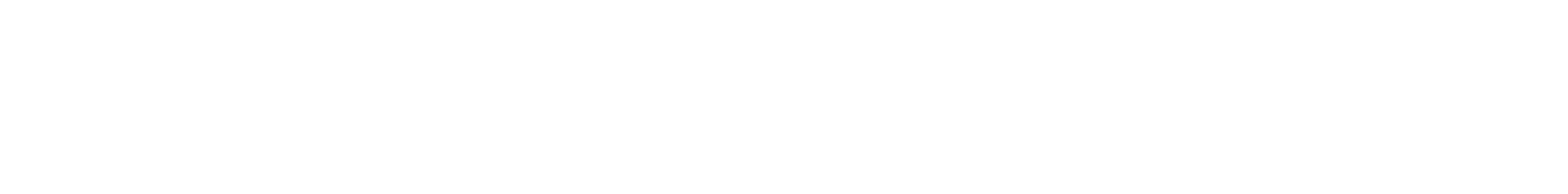 Liste conduite par Georges Mela - Élections Municipales - Porto-Vecchio 2026